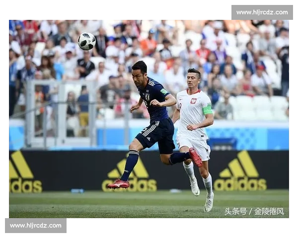 河南队通报成都球迷严重违规 恶意涂鸦亵渎足球精神